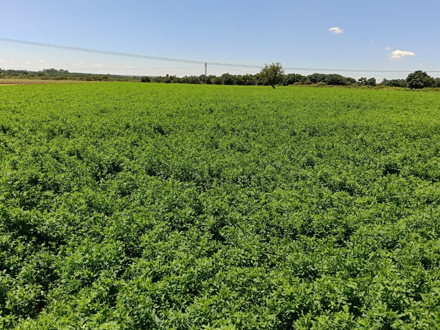 8 Bedroom Property for Sale in Brits Rural North West